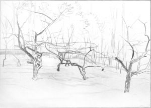 Графика, Реализм - Яблоневый сад зимой