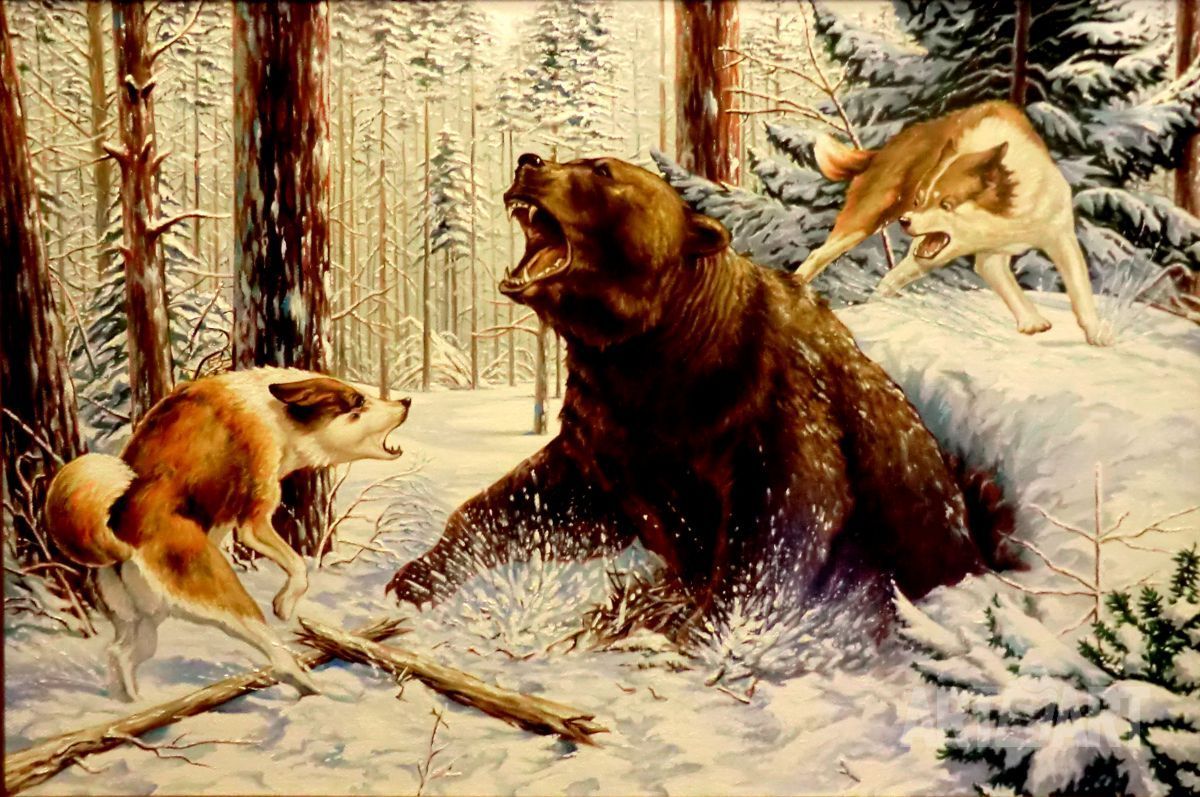 Данчурова художник охота на медведя