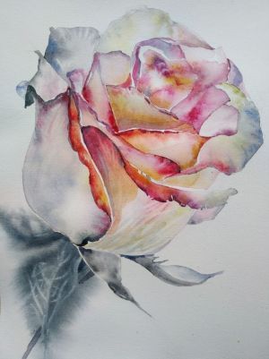 Живопись, Реализм - Роза