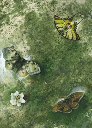 Живопись, Акрил - Эффект бабочки