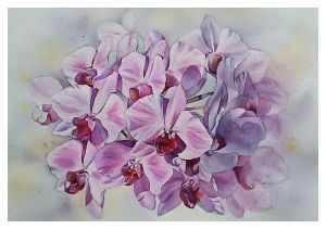 Графика, Реализм -  Watercolour «Pink orchid» Акварель «Розовая орхидея» 