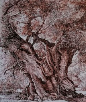Графика, Реализм - Дерево Робина,лес Израиль