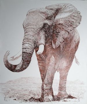 Графика, Анималистика - Слон