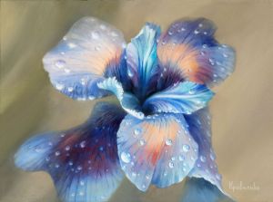 Живопись, Натюрморт - Цветок ириса после дождя #1