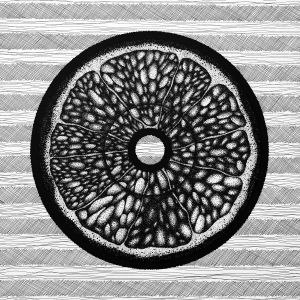 Графика, Интерьер - Цитрус Фрукт в разрезе Апельсин Лимон