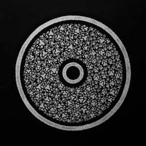 Графика, Сюжетно-тематический жанр - Органика (1) Собачьи следы Отпечатки лап Осенний узор